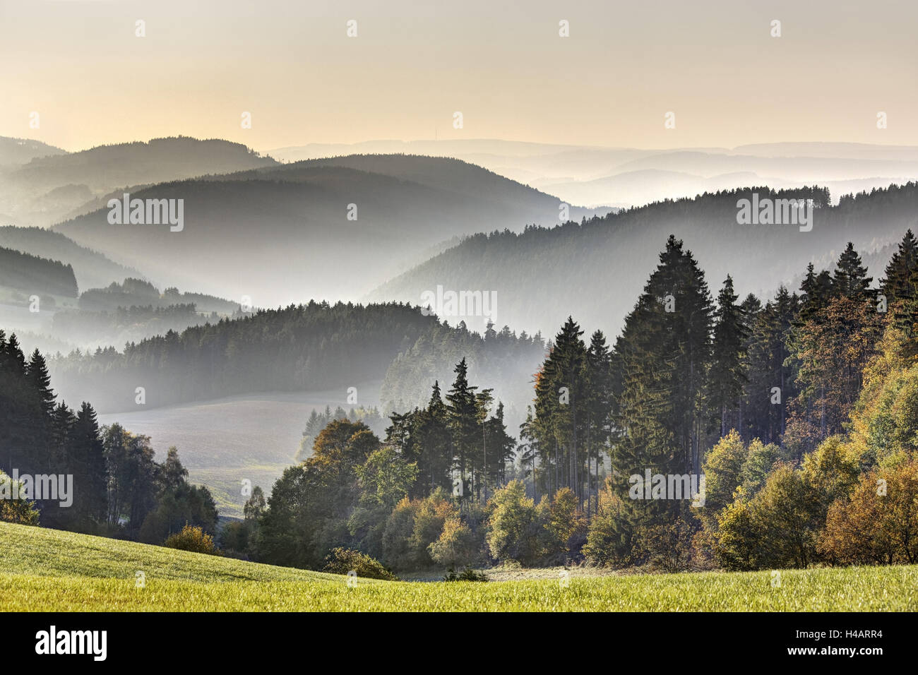 Germany, Thuringia, near Lichtentanne, mountains, valleys, forest, meadow, view from the Thuringian Highlands to the Franconian Forest, Stock Photo