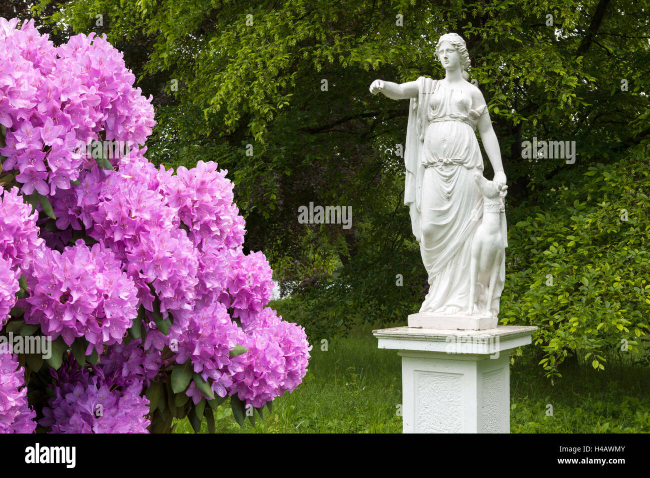 Rhododendron park germany hi-res stock photography and images - Alamy