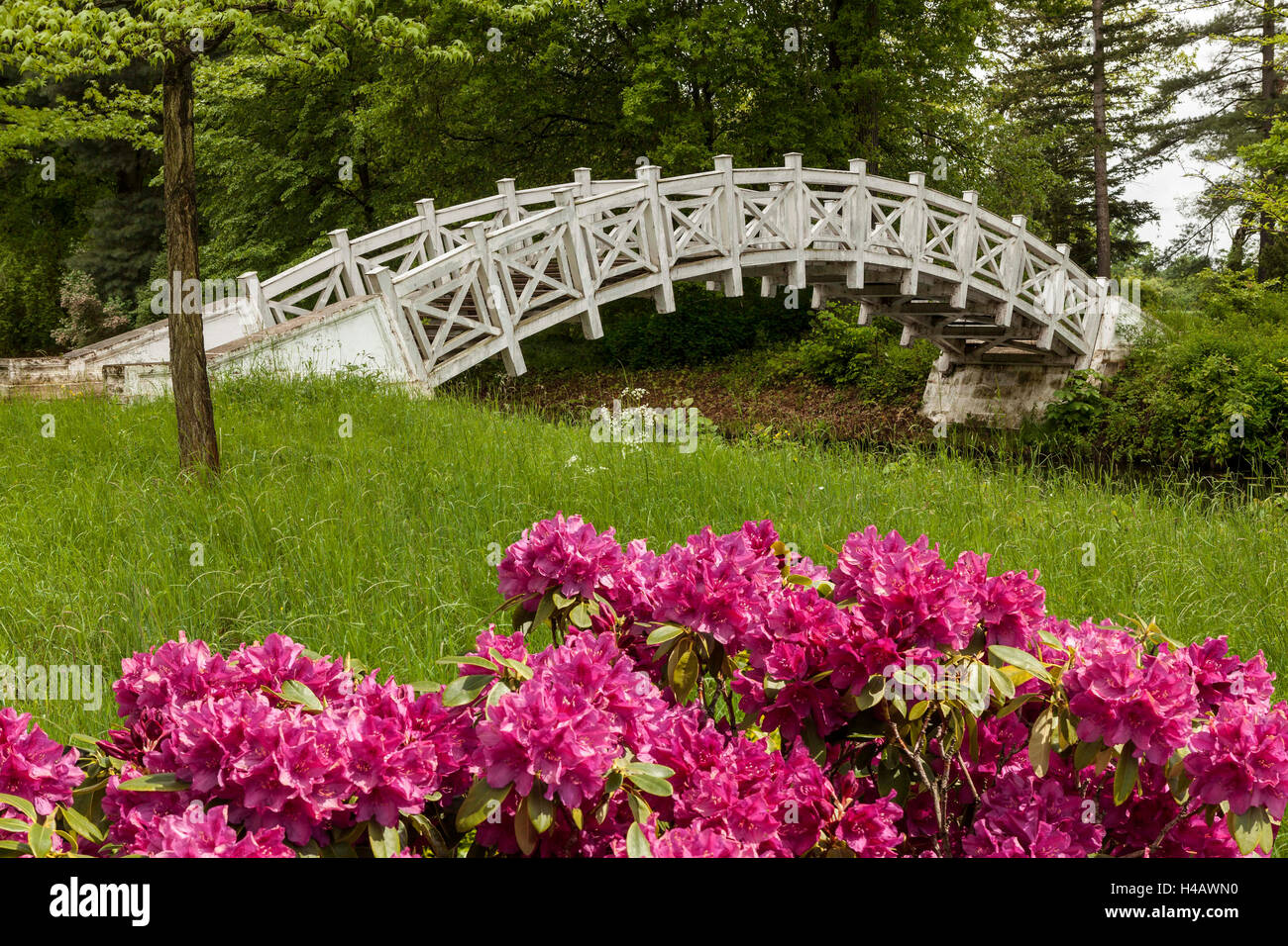 Rhododendron park germany hi-res stock photography and images - Alamy