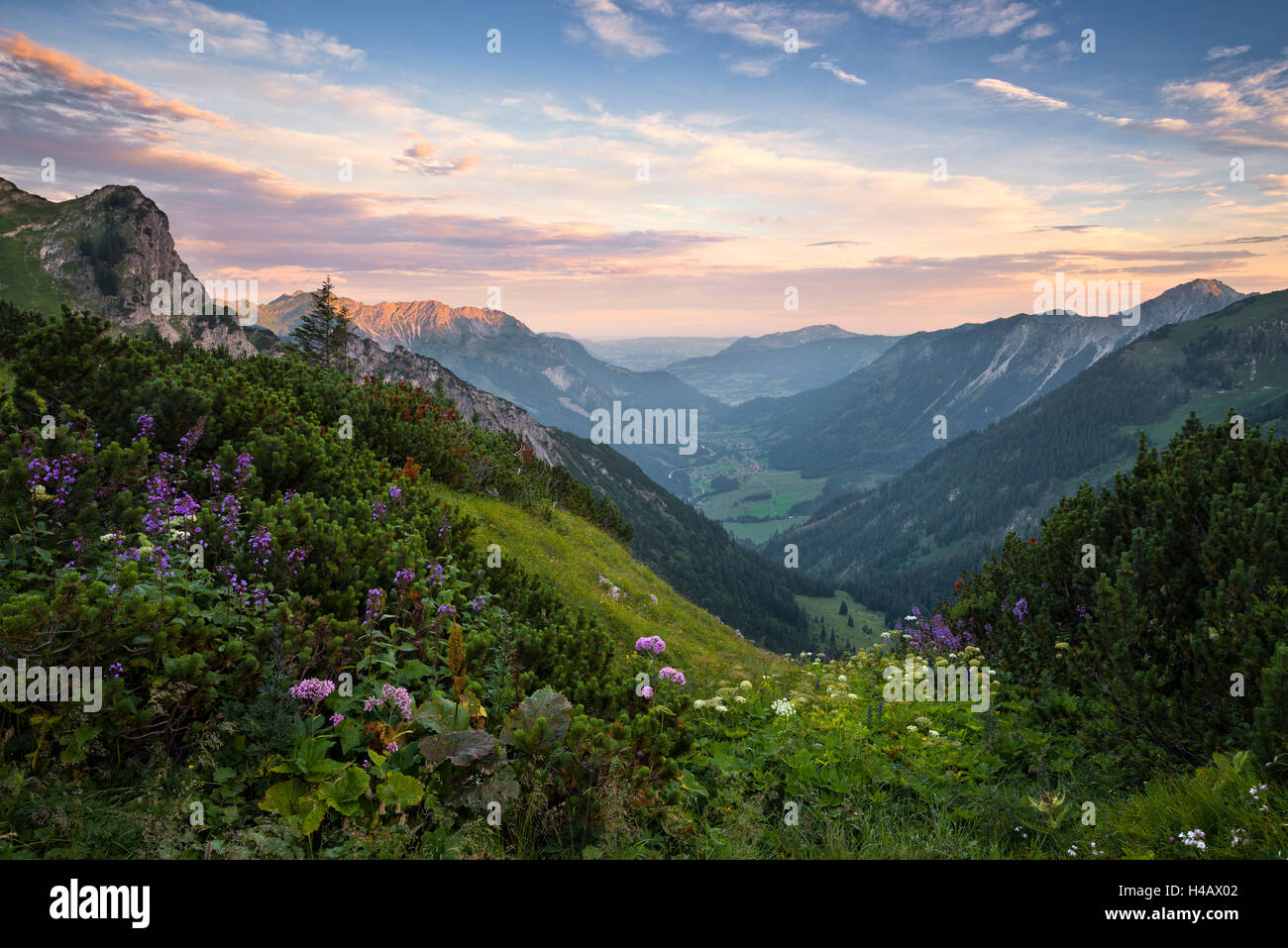 Germany, Bavaria, Schrecksee, lake, Alps, mountains, Allgäu, high Alps, view, picturesque, mood, light, morning, flowers, spring, summer, scenery, Stock Photo