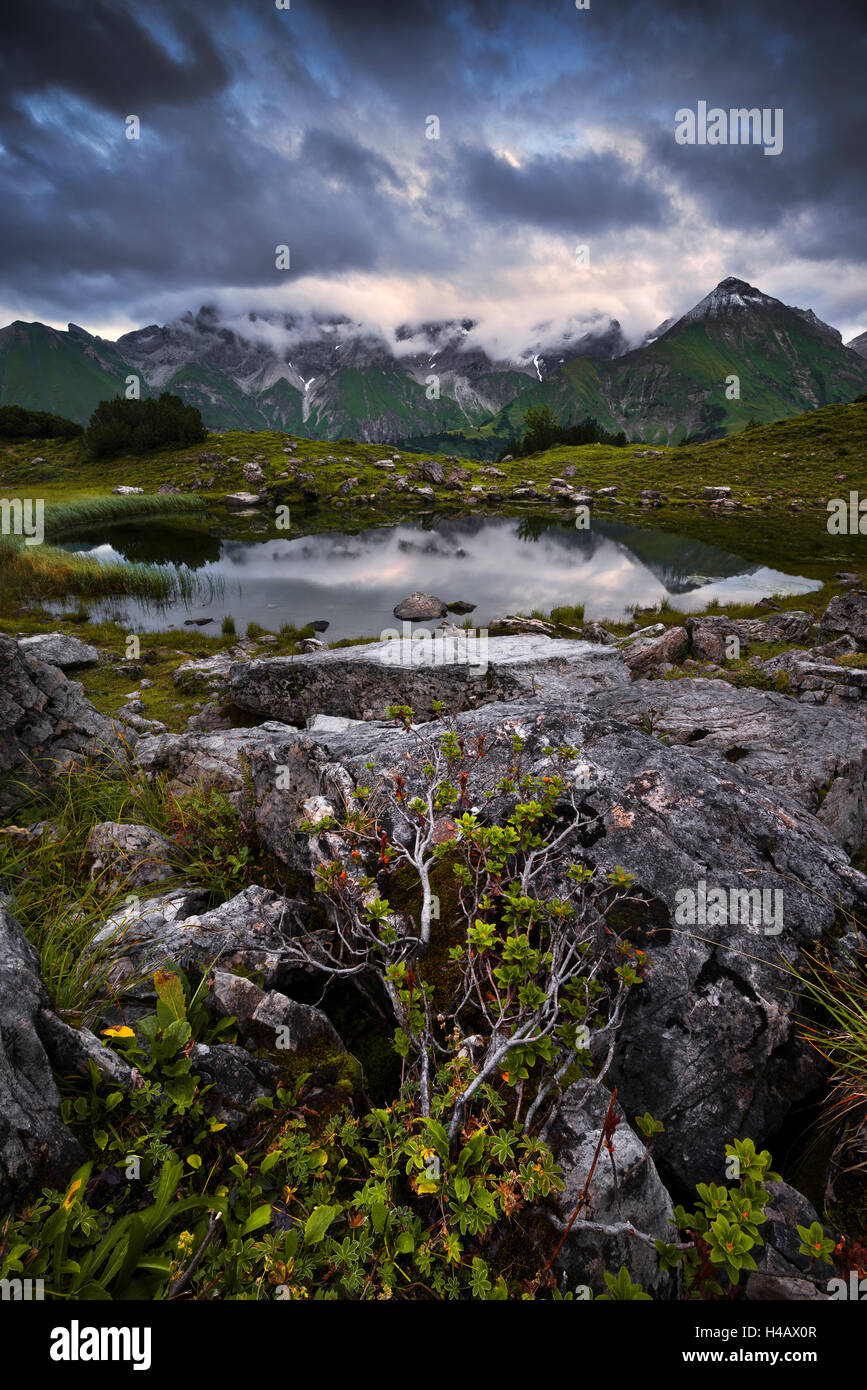 Germany, Allgäu, Alps, mountains, Guggersee, game, wilderness, green, mountains, rocks, light, mood, vegetation, panorama, scenery Stock Photo