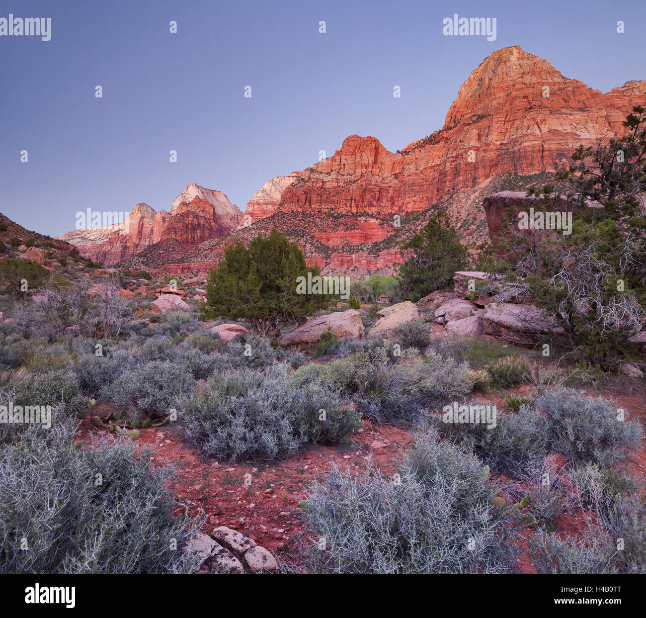 Bridge Mountain, Zion National Park, Utah, USA Stock Photo - Alamy