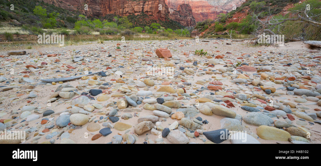 Detail in the riverbed, stones, Zion National Park, Utah, USA Stock Photo
