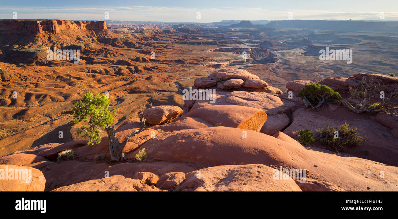 Grand View Point, Green River Overlook, Island In The Sky, Canyonlands National Park, Utah, USA Stock Photo