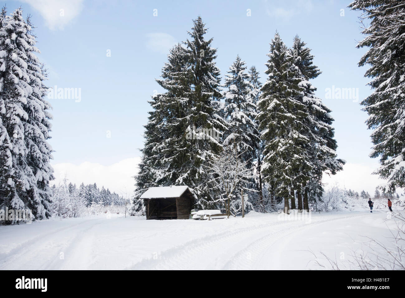 Protective hut in the forest and snow Stock Photo - Alamy