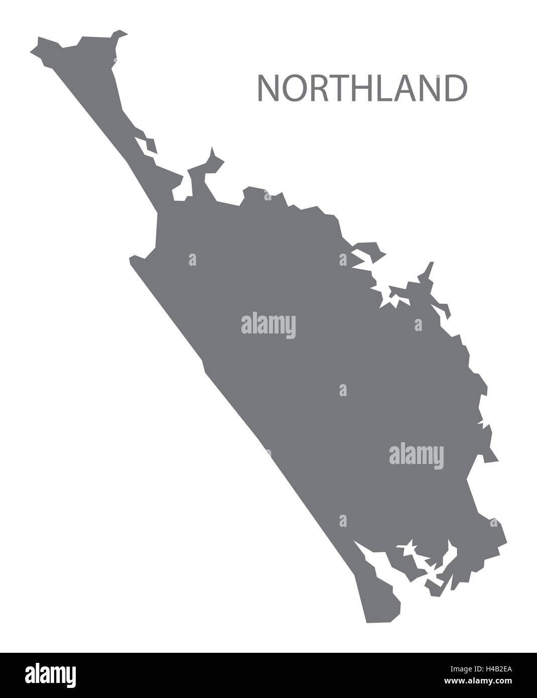 Northland New Zealand Map grey Stock Vector