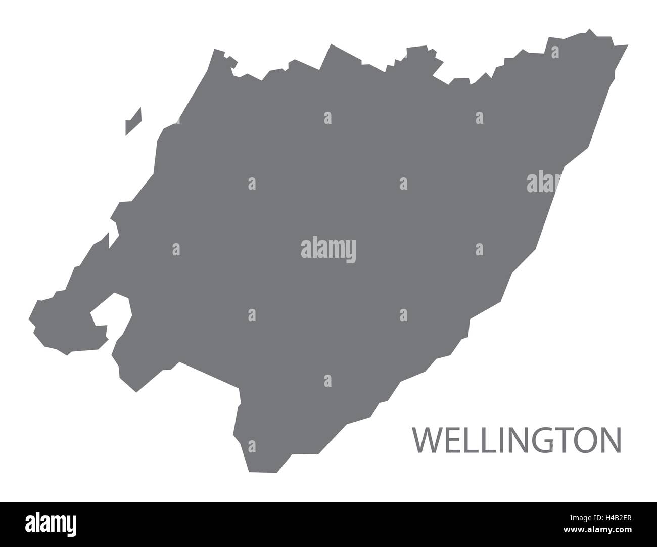 Wellington New Zealand Map grey Stock Vector
