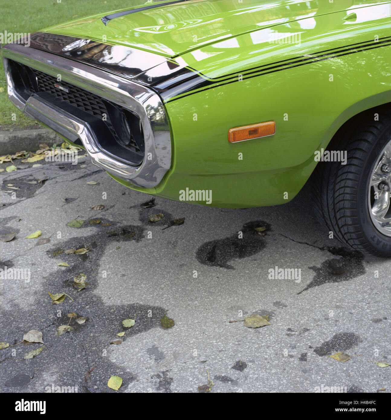 Car, vintage car, Dodge Charger Muscle-Car, Detail, Stock Photo