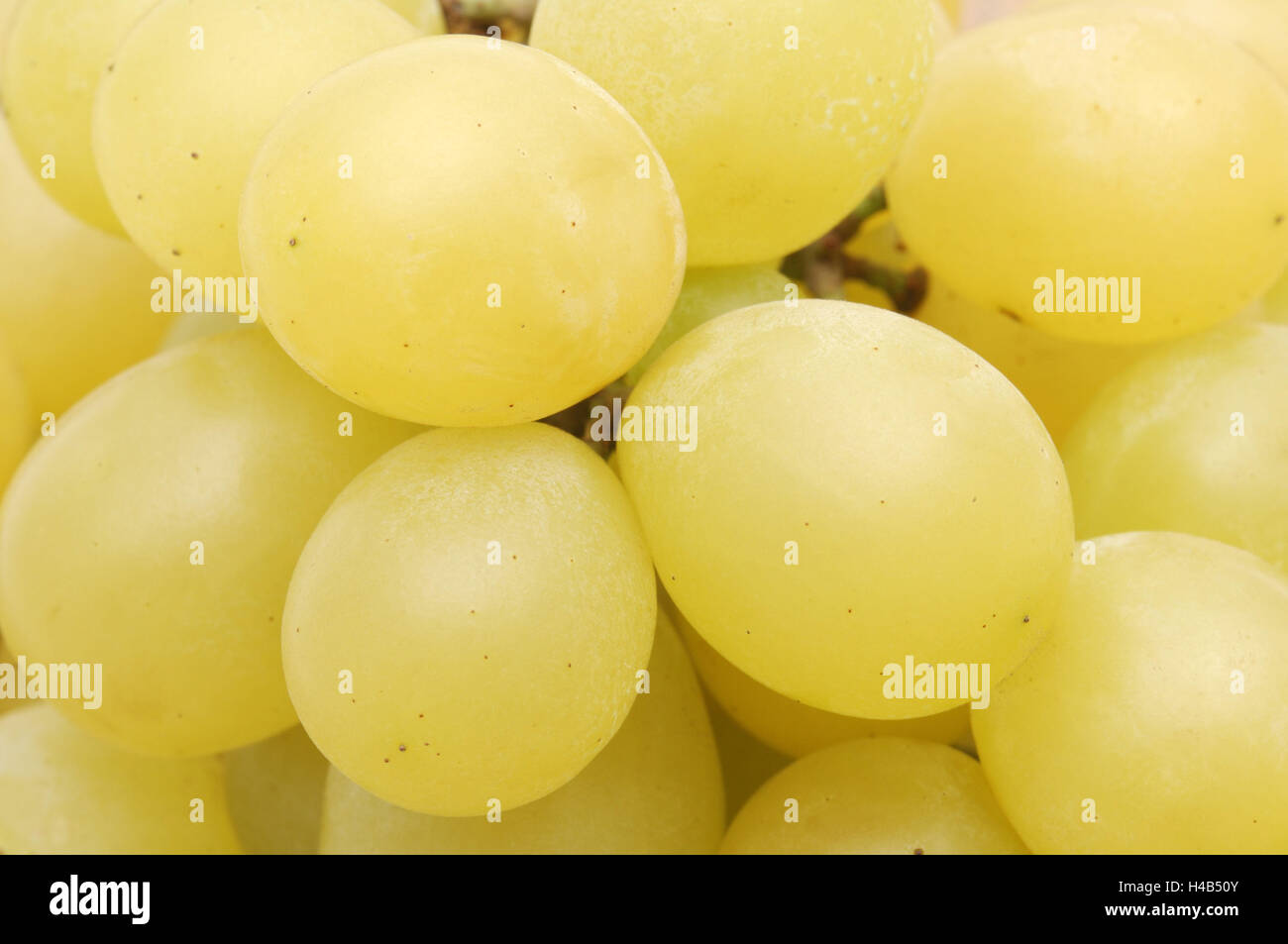 Grapes, date grapes Stock Photo Alamy