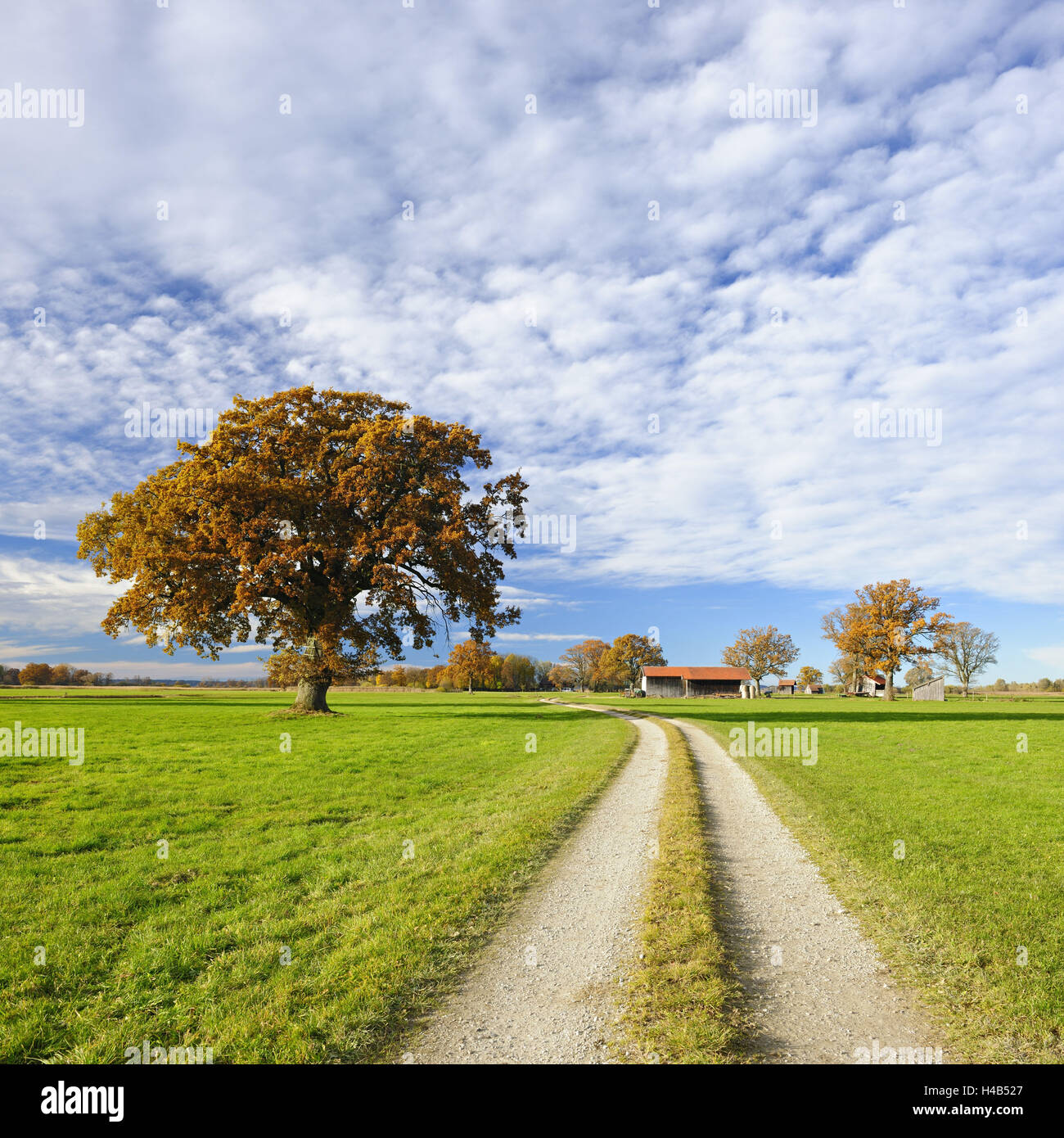 Germany, Bavaria, autumn scenery with Seethal in Lake Chiem, Stock Photo