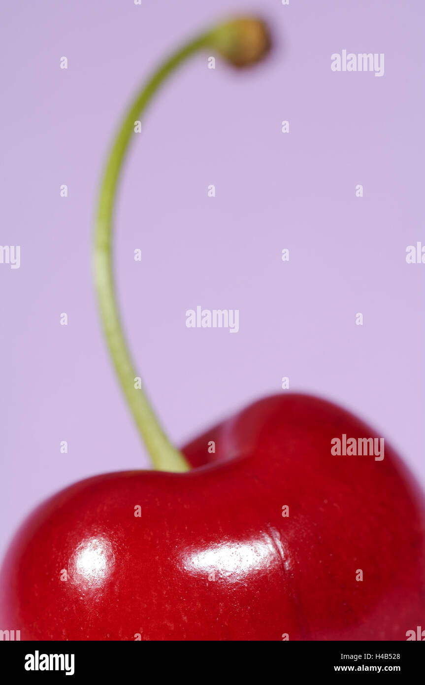 To cherry, red, ripe, handle, close up, Stock Photo
