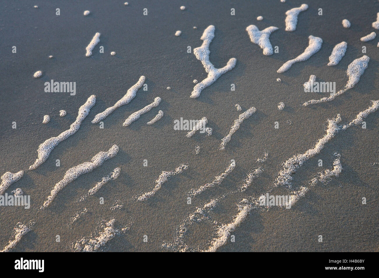 Salt froth, beach, Stock Photo