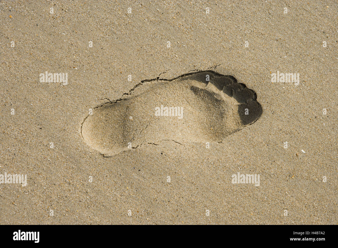 Footprint in Sand Stock Photo Alamy