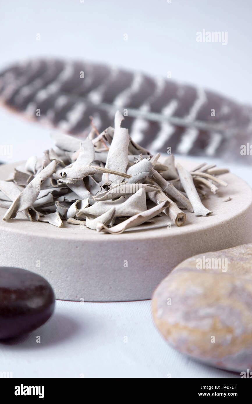 Indian medicine, alternative cure, incense materials Stock Photo Alamy