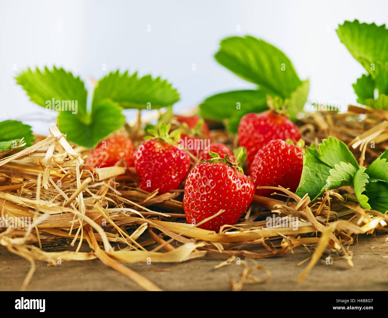Strawberries, leaves, tabletop, wood, straw, Stock Photo
