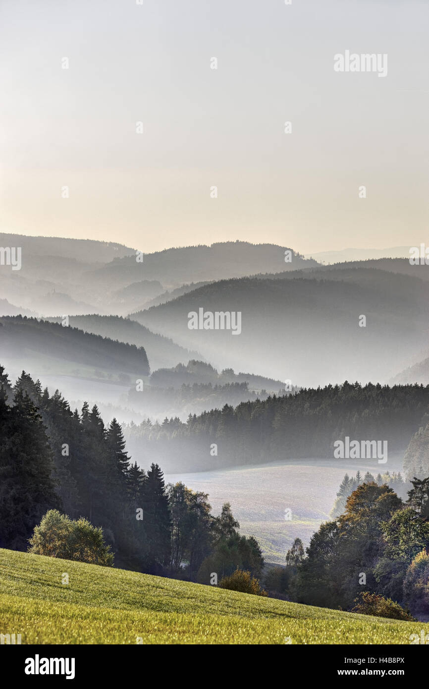 Germany, Thuringia, near Lichtentanne, mountains, valleys, forest, meadow, view from the Thuringian Highlands to the Franconian Forest, Stock Photo