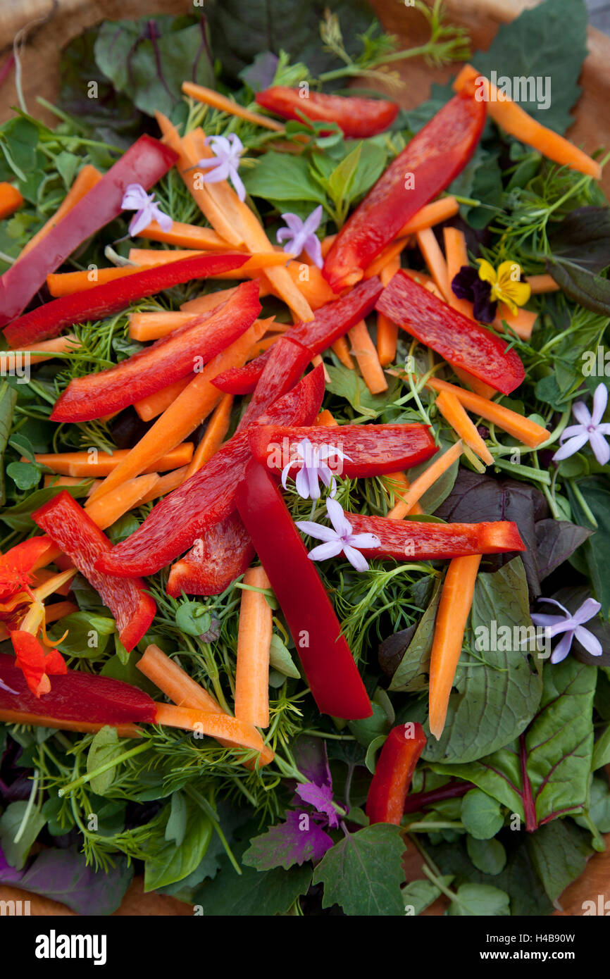 Salad, detail, fresh, Healthy Stock Photo