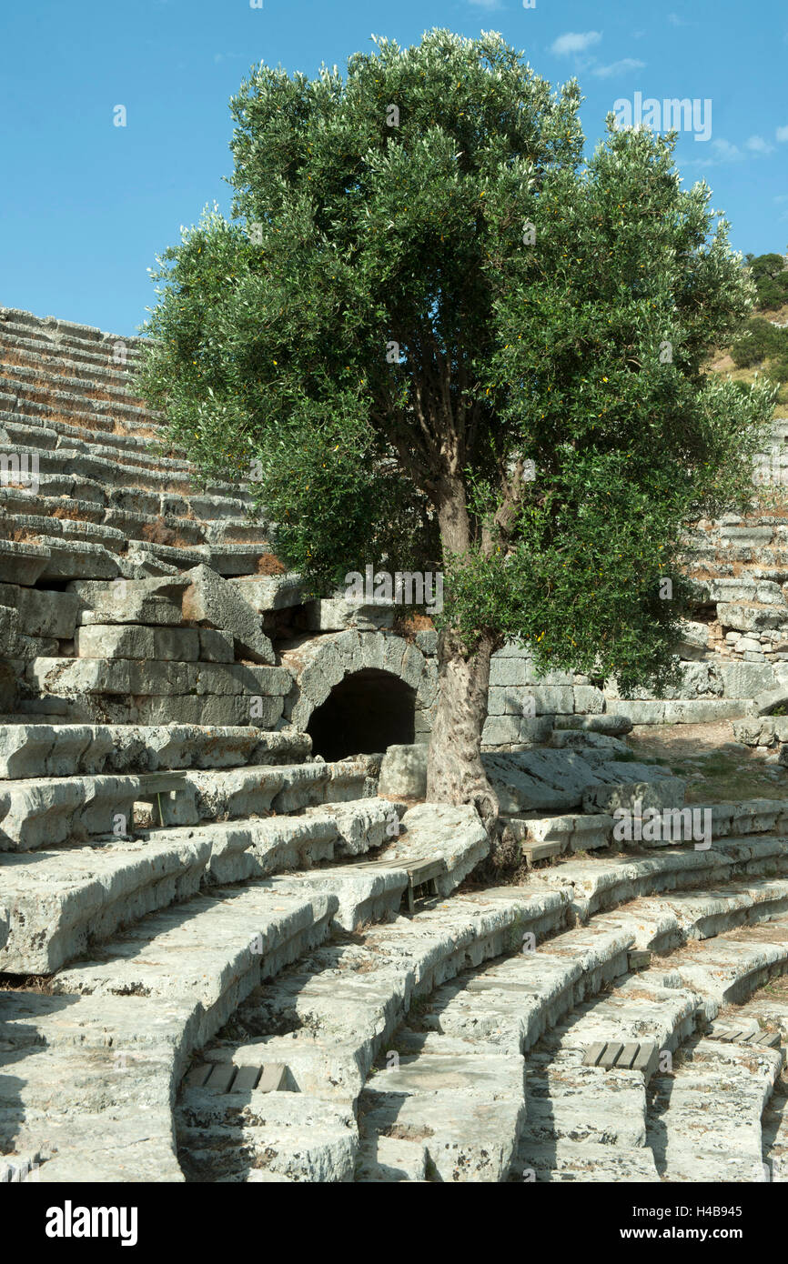 Asia, Turkey, province of Mugla, Dalyan, excavation of Kaunos, theatre Stock Photo