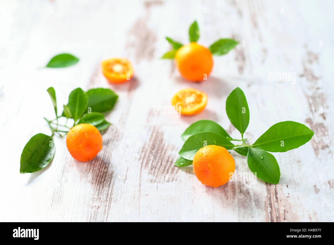 Minioranges with foliage on white wooden table Stock Photo Alamy