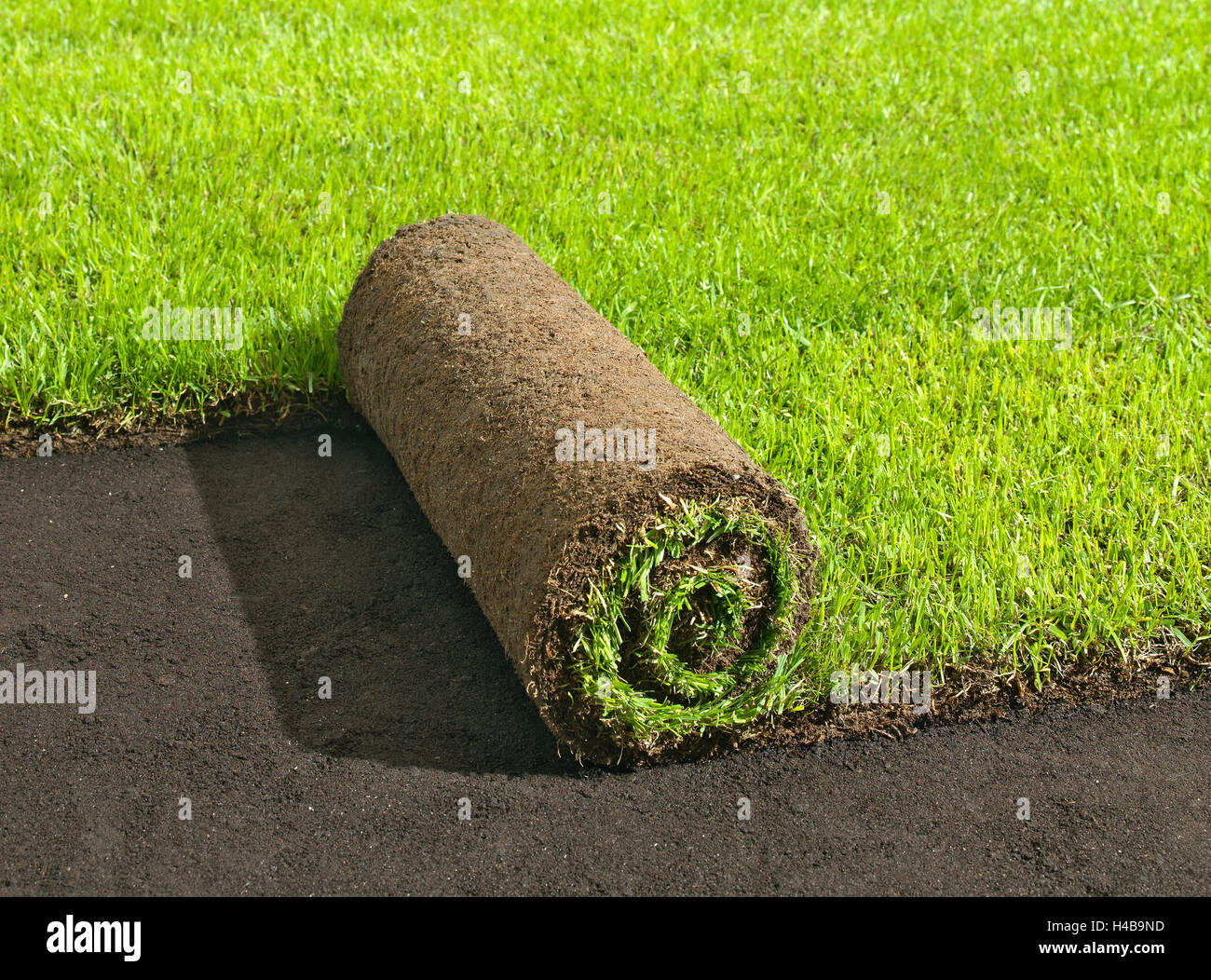 turf, lay, garden, lawns, role, roll out Stock Photo