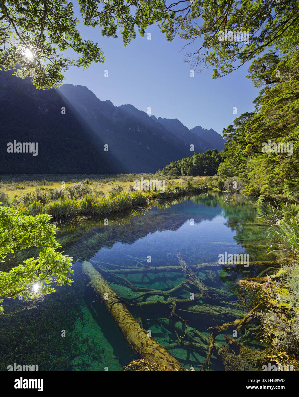 Mirror Lake, Fiordland National Park, Southland, south Island, New Zealand Stock Photo Alamy