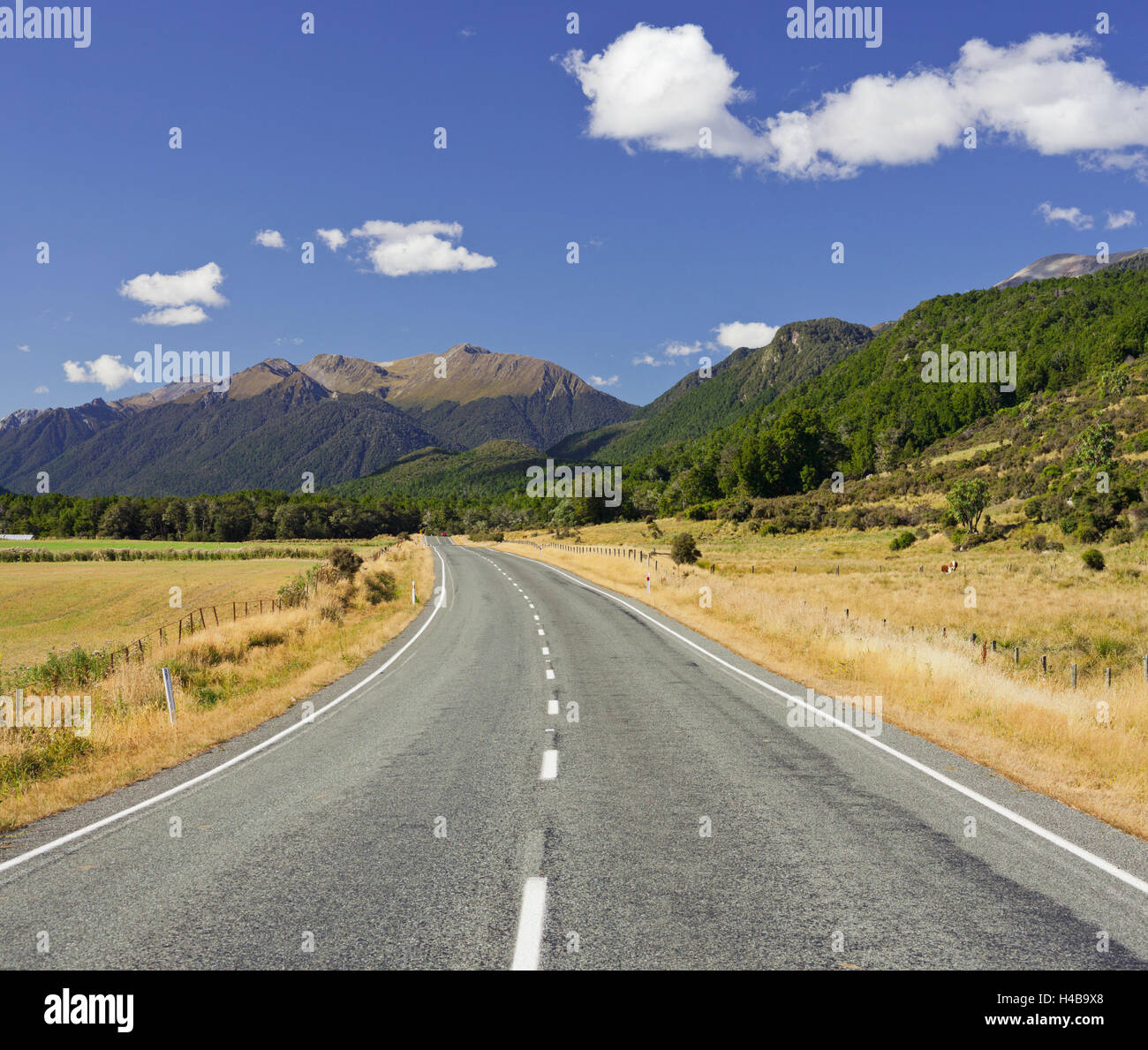 Te Anau - Milford - highway, number 94, Fiordland, Southland, south Island, New Zealand Stock Photo