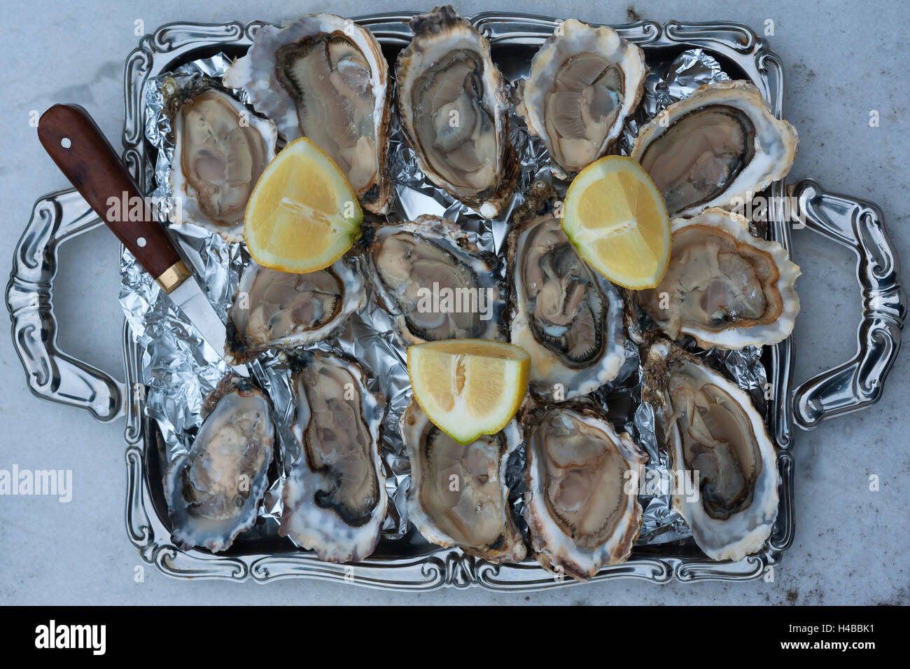 Fresh oysters (Ostreidae) with lemon and an oyster knife on a tray, Vandée, Atlantic coast