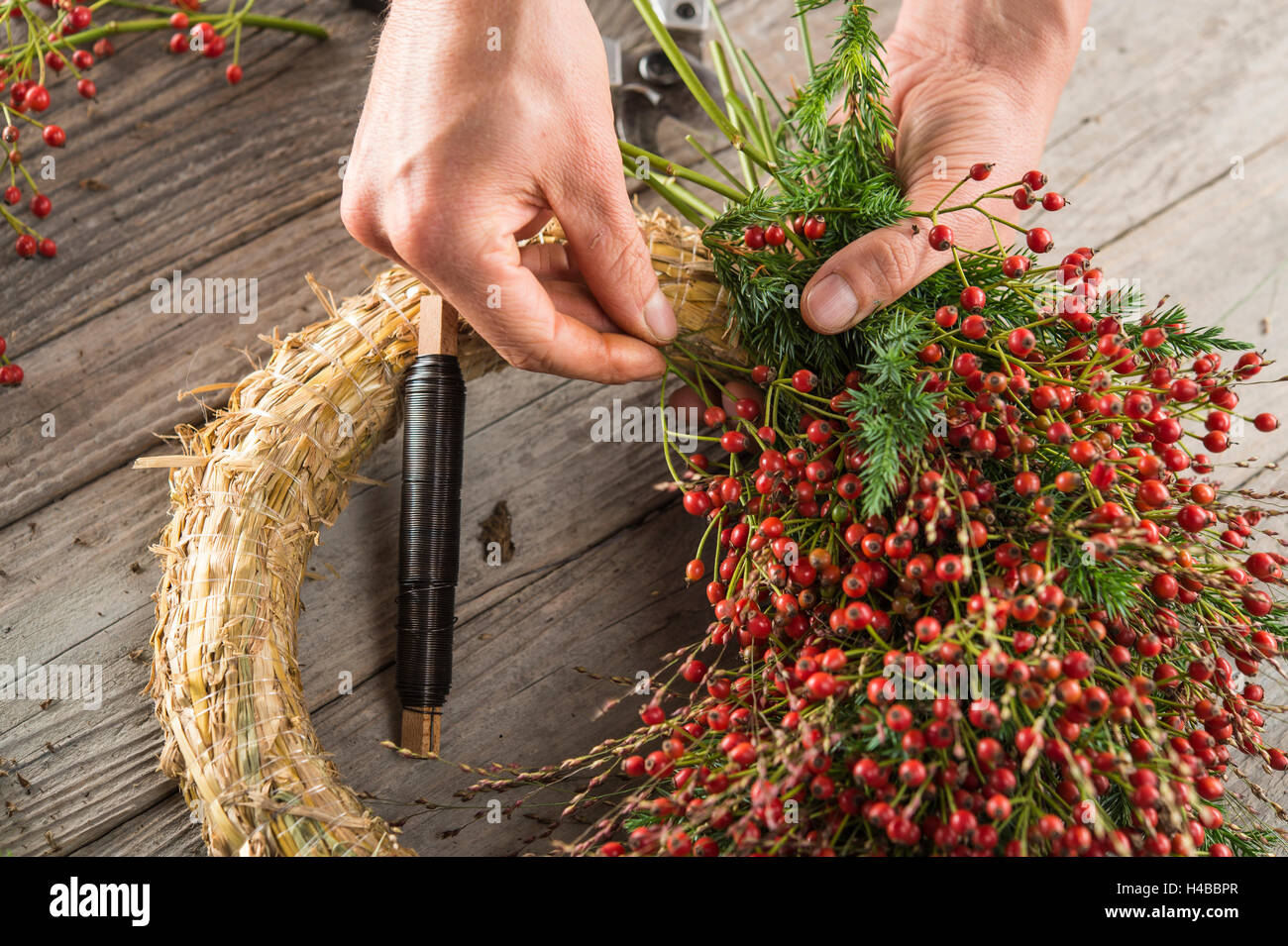 Autumn wreath on wood panel is bounded by hands with binding tool, based on straw wreath, juniper (Juniperus) Stock Photo