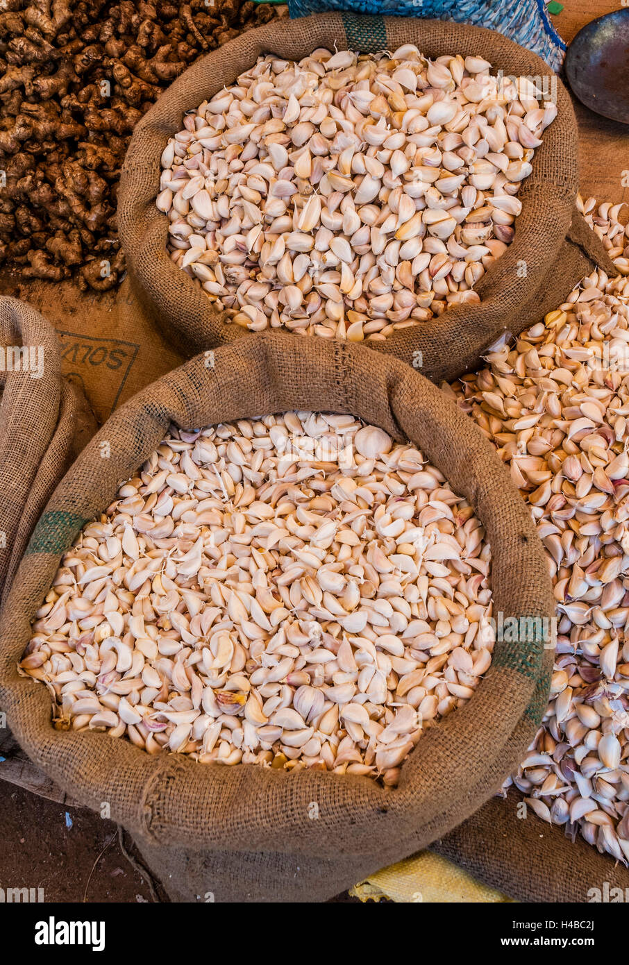 Garlic cloves in sacks at a market, Chinnamanur, Tamil Nadu, India