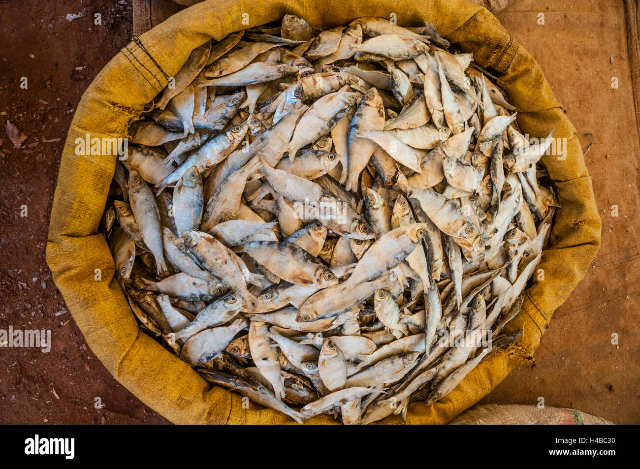 Dried fish at a market, Chinnamanur, Tamil Nadu, India Stock Photo Alamy
