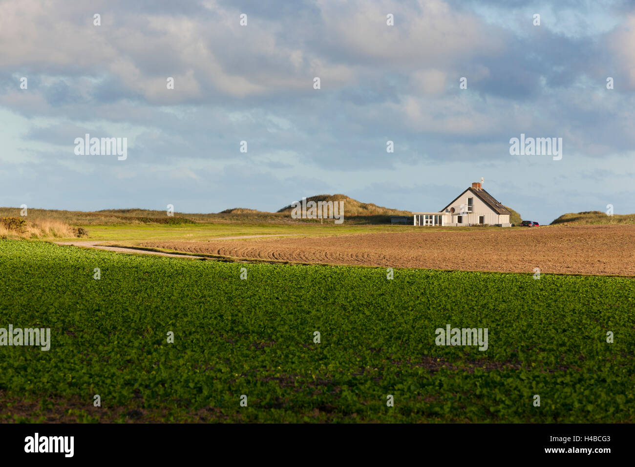 Farmhouse in Jutland, Denmark Stock Photo Alamy