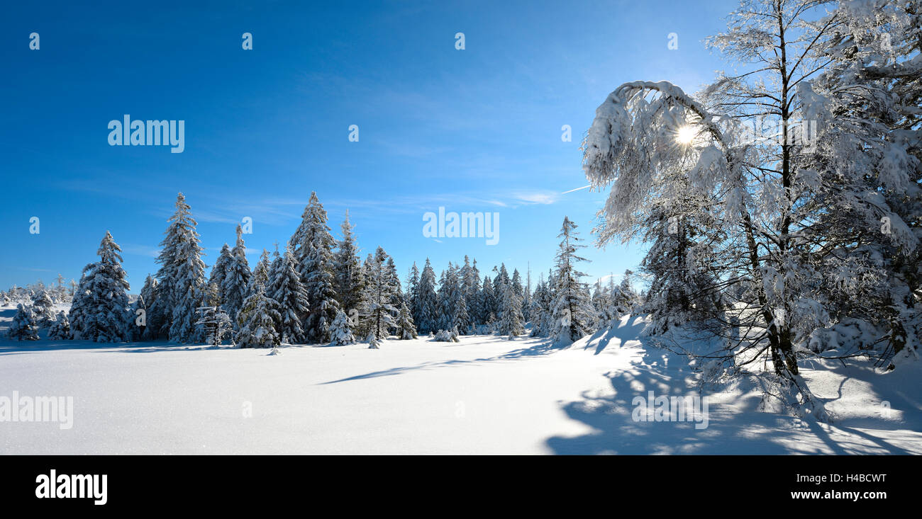 Germany, Lower Saxony, Harz National Park, near Torfhaus, unspoiled winter landscape Stock Photo