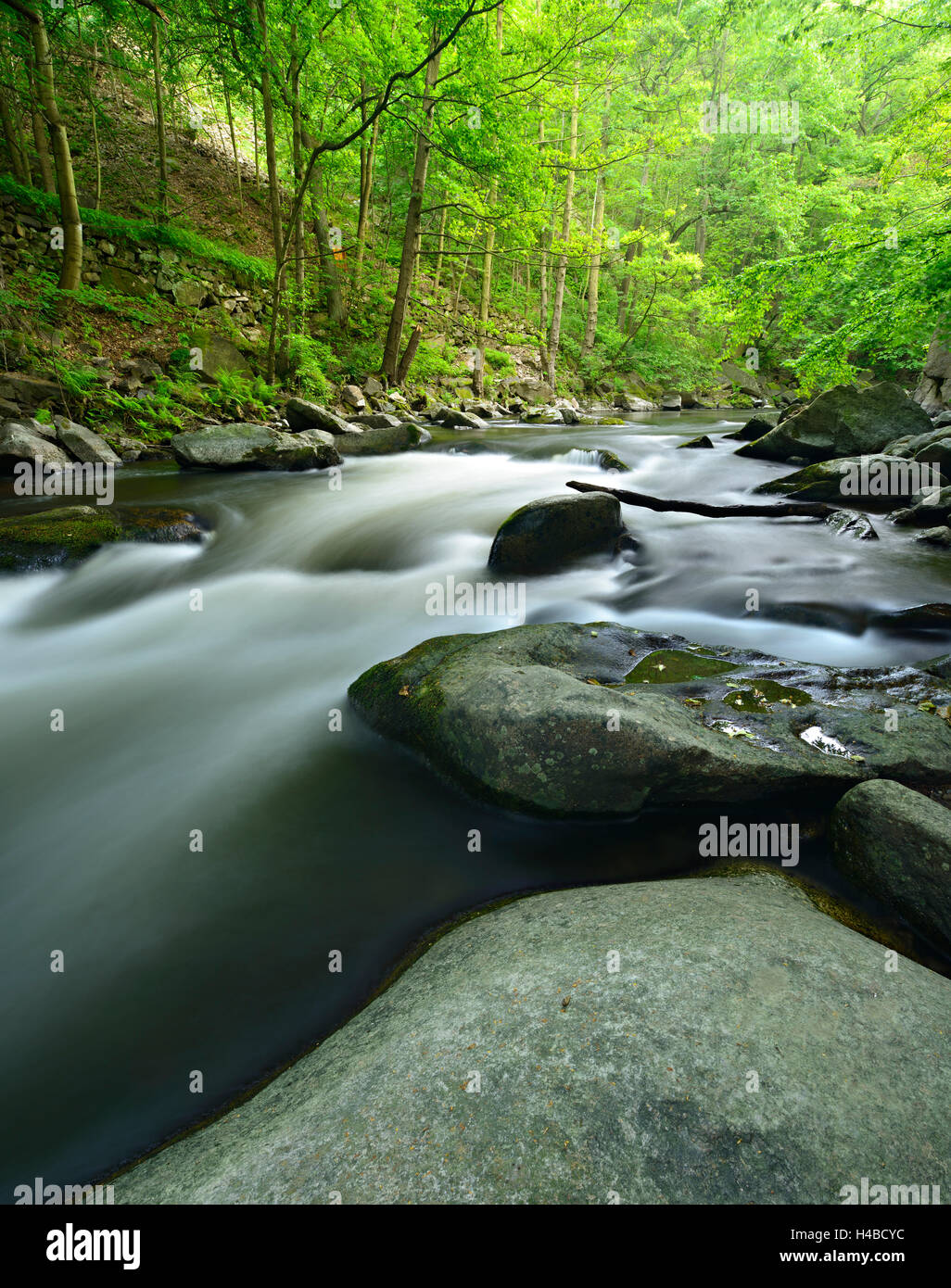 Germany, Saxony-Anhalt, Harz, in the Bodetal between Thale and Treseburg Stock Photo