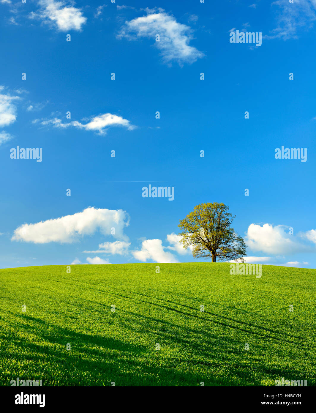 Hill of light hi-res stock photography and images - Alamy