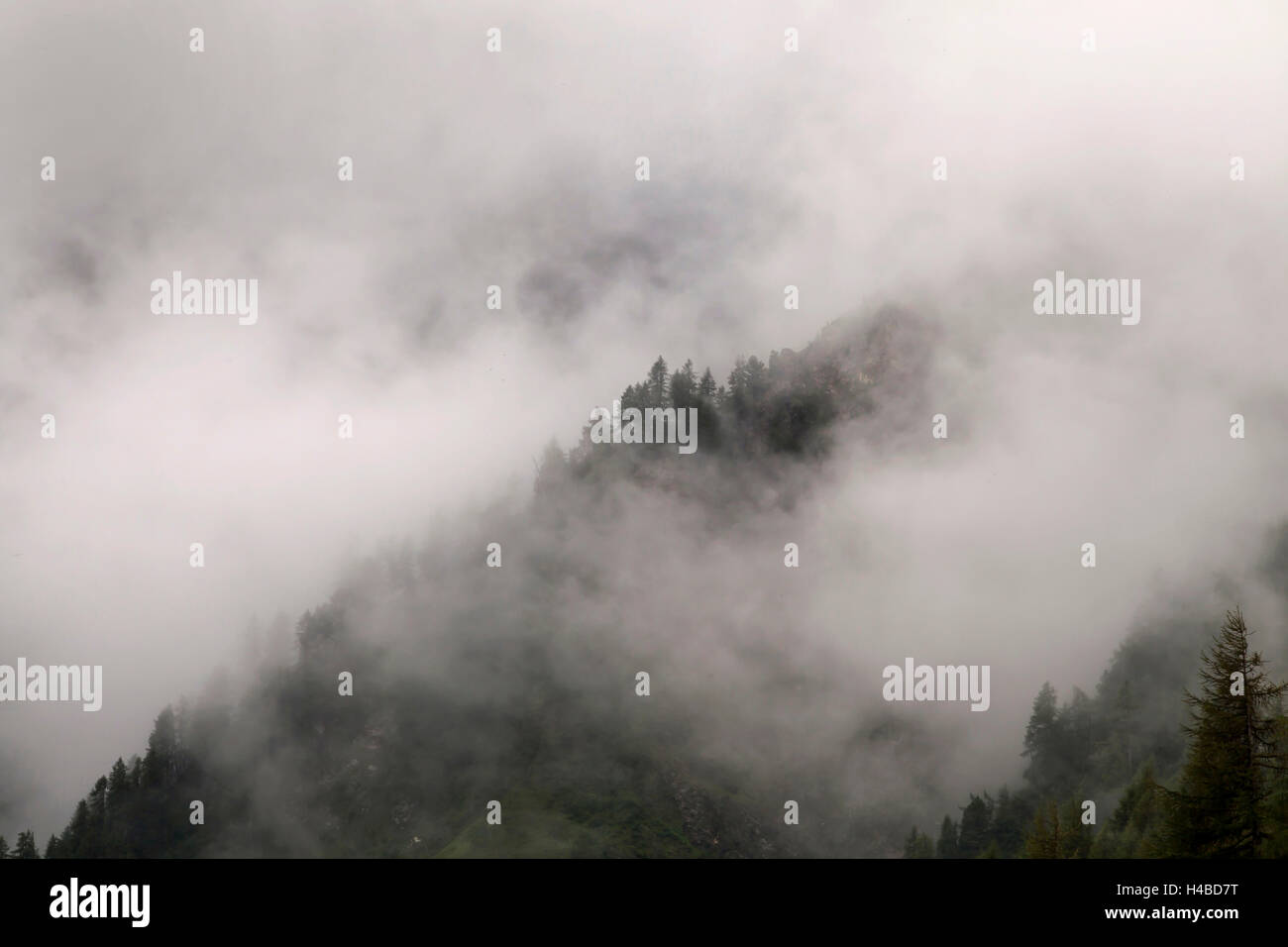 Fog alps hi-res stock photography and images - Alamy