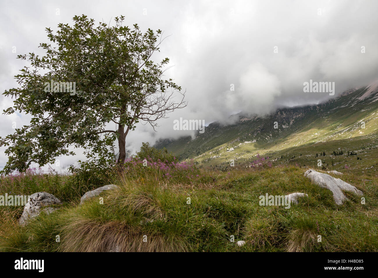 Julian alps scenery hi-res stock photography and images - Alamy