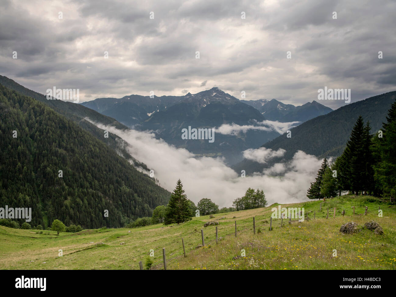 Landscape in the Alps Stock Photo - Alamy