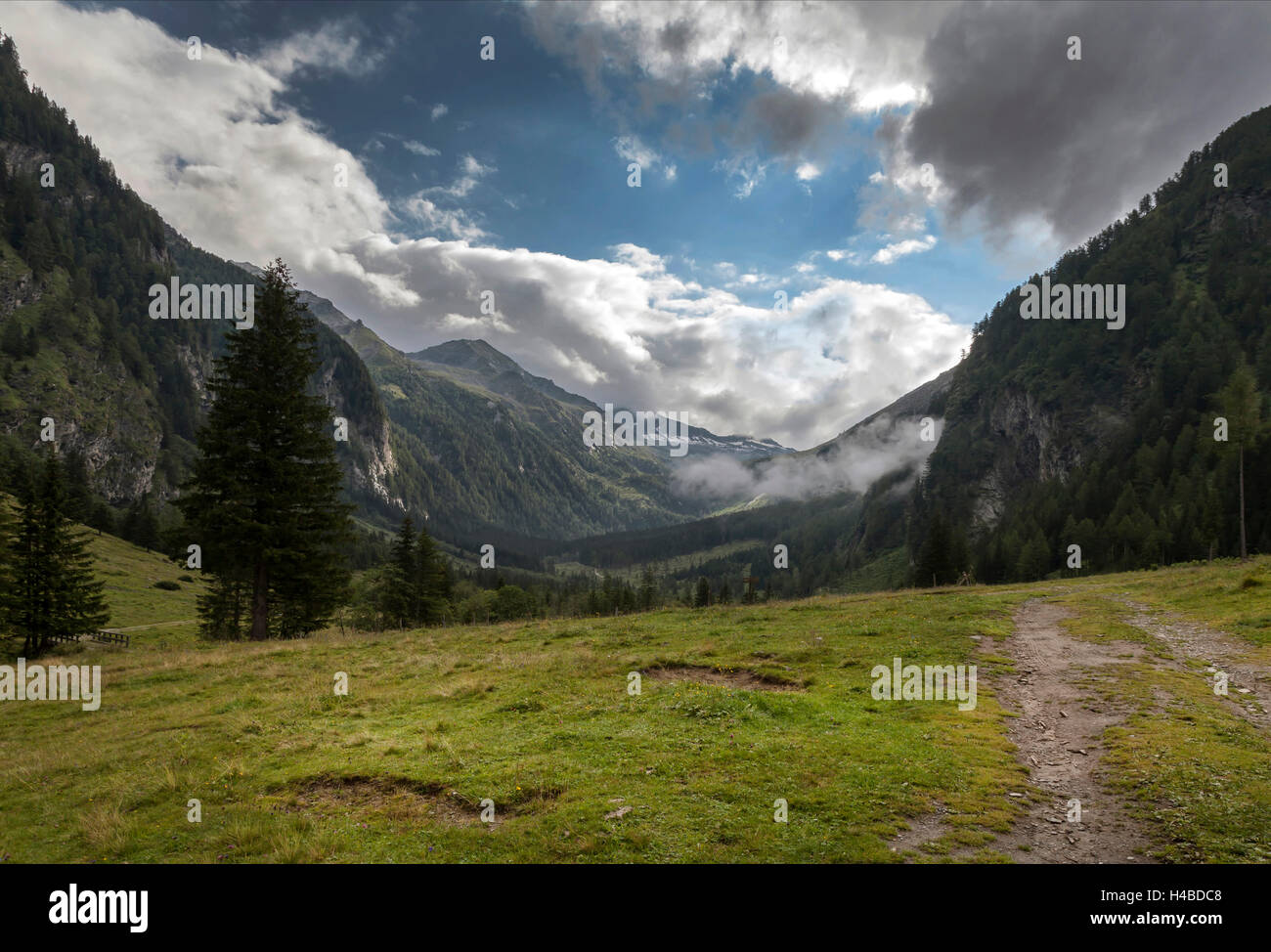 Landscape in the Alps Stock Photo - Alamy
