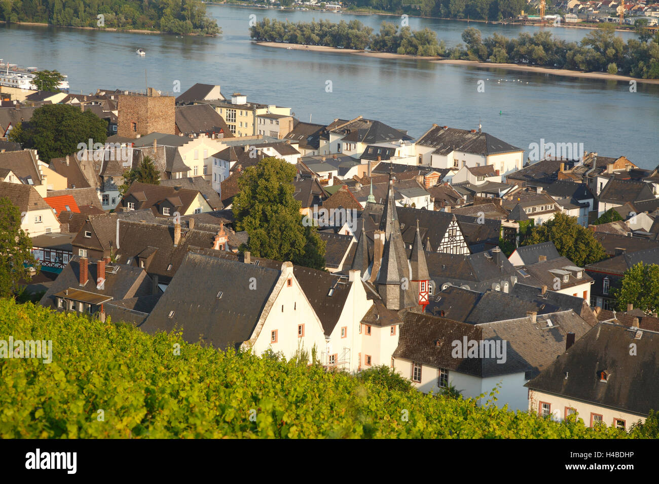 Germany, Hesse, Rüdesheim am Rhein, view at the old town with the Rhine ...