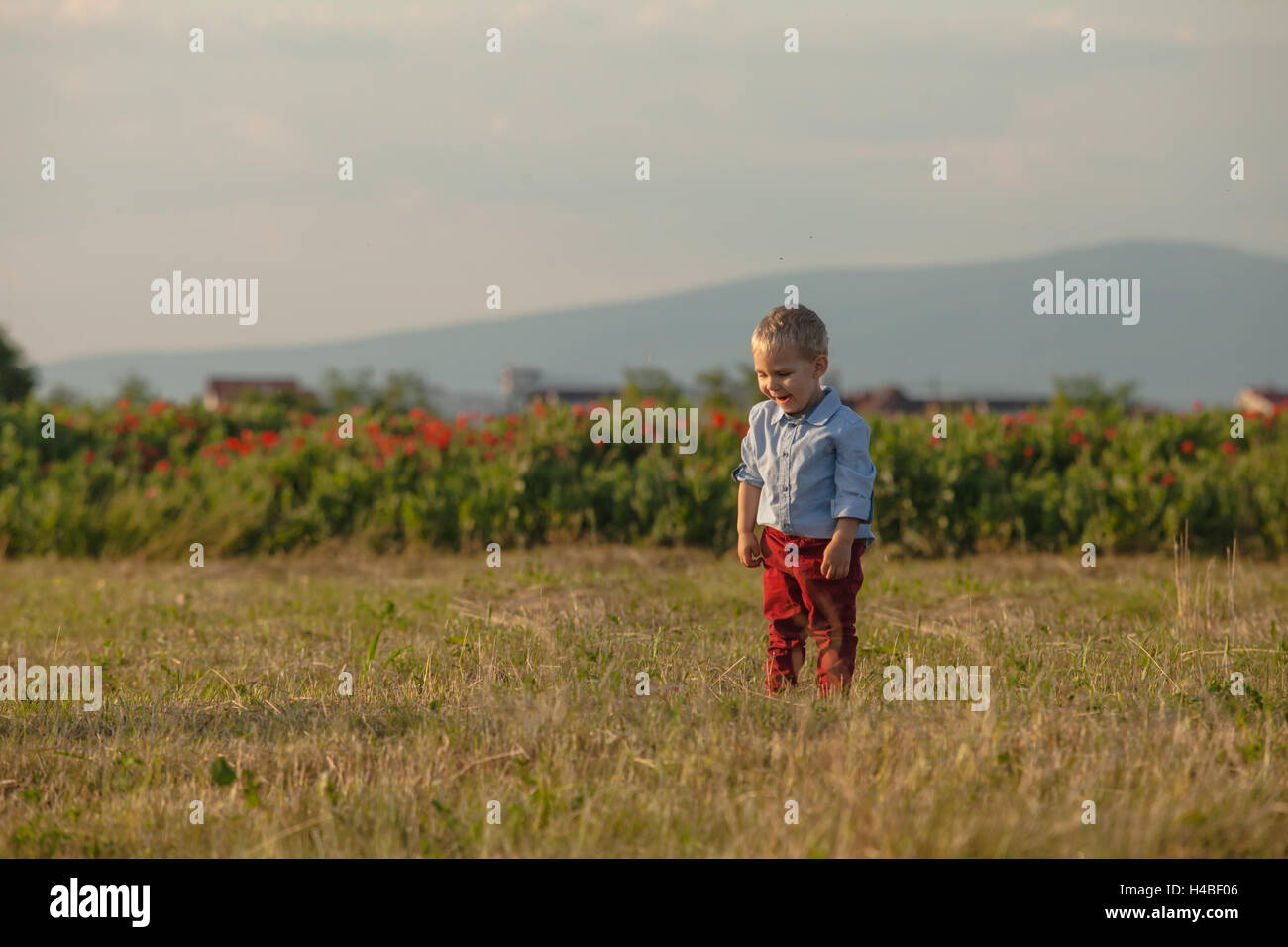 Outdoor portrait of a cute little boy Stock Photo - Alamy