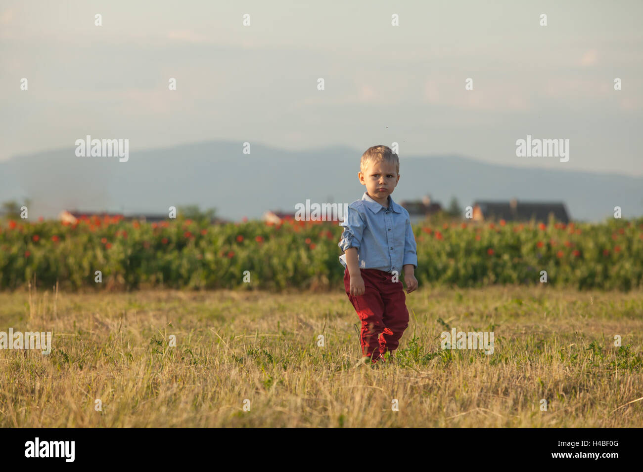Outdoor portrait of a cute little boy Stock Photo - Alamy
