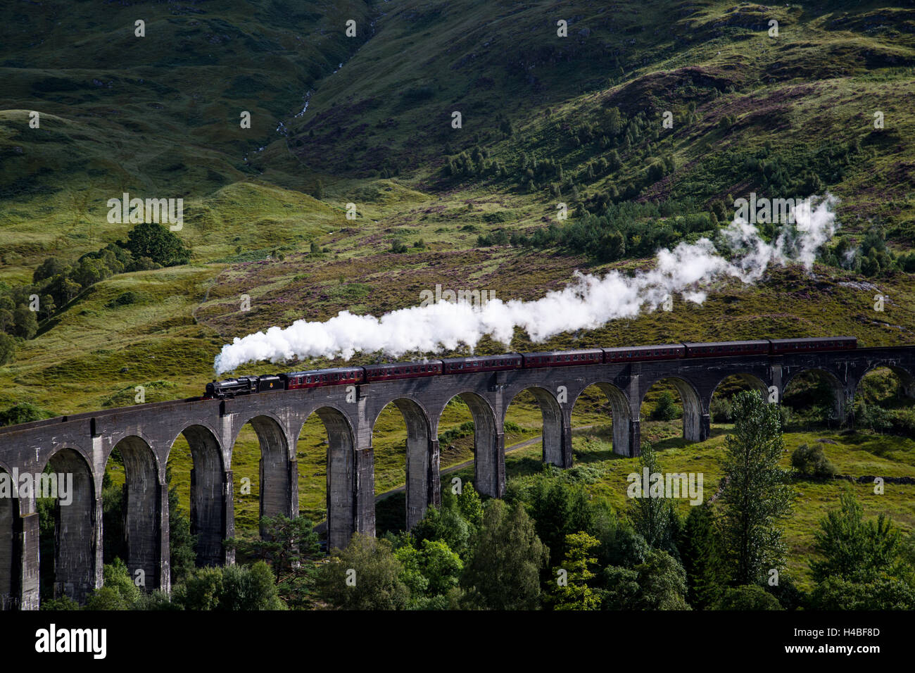 Hogwarts express train hi-res stock photography and images - Alamy
