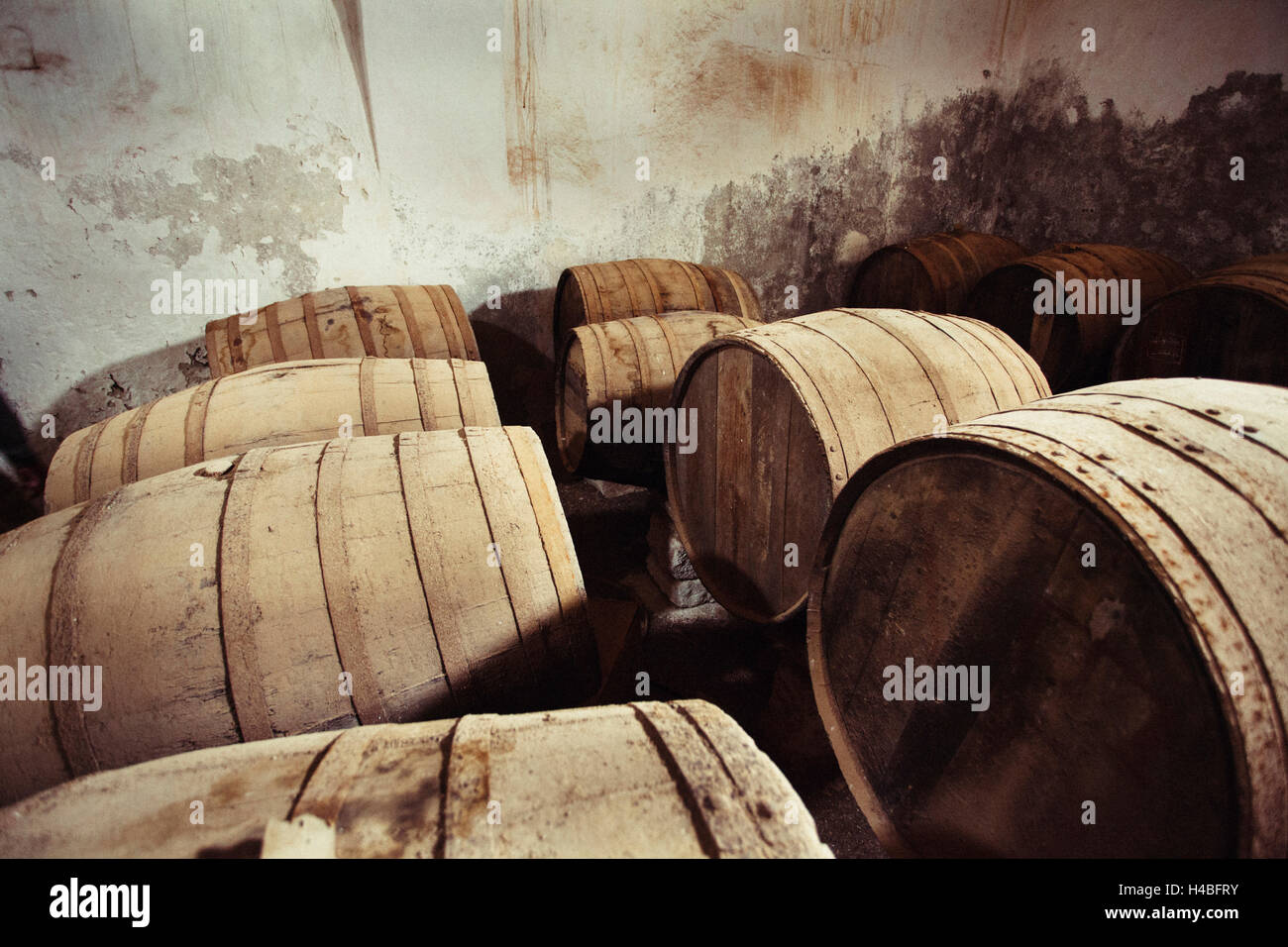 Old wine casks Stock Photo Alamy