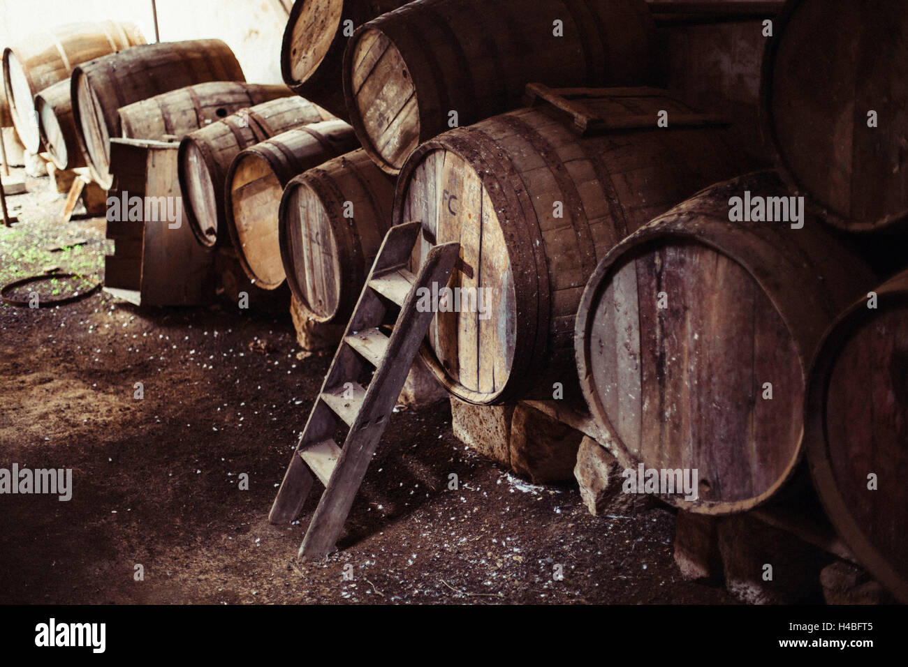 Old wine casks Stock Photo Alamy