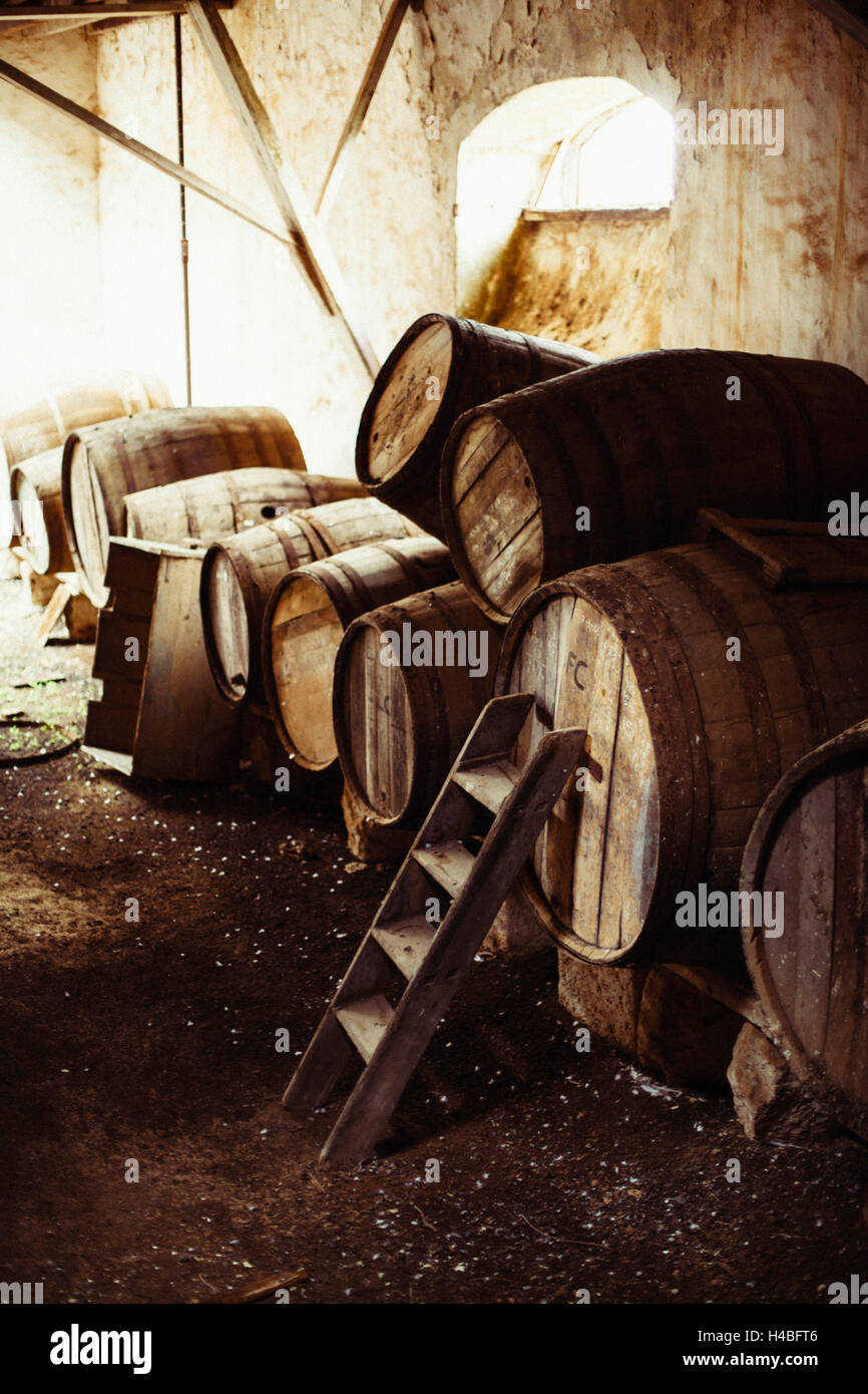 Old wine casks Stock Photo Alamy