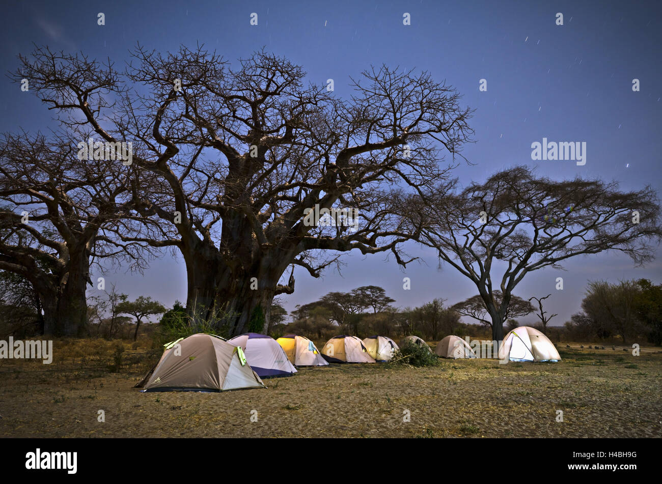 Africa, East Africa, Tanzania, Tarangire National Park, tent camp, camp site, Stock Photo