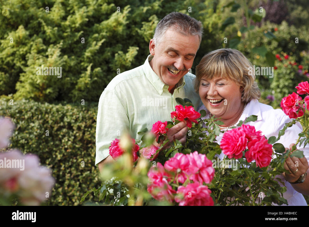 Man and woman in rose garden Stock Photo - Alamy