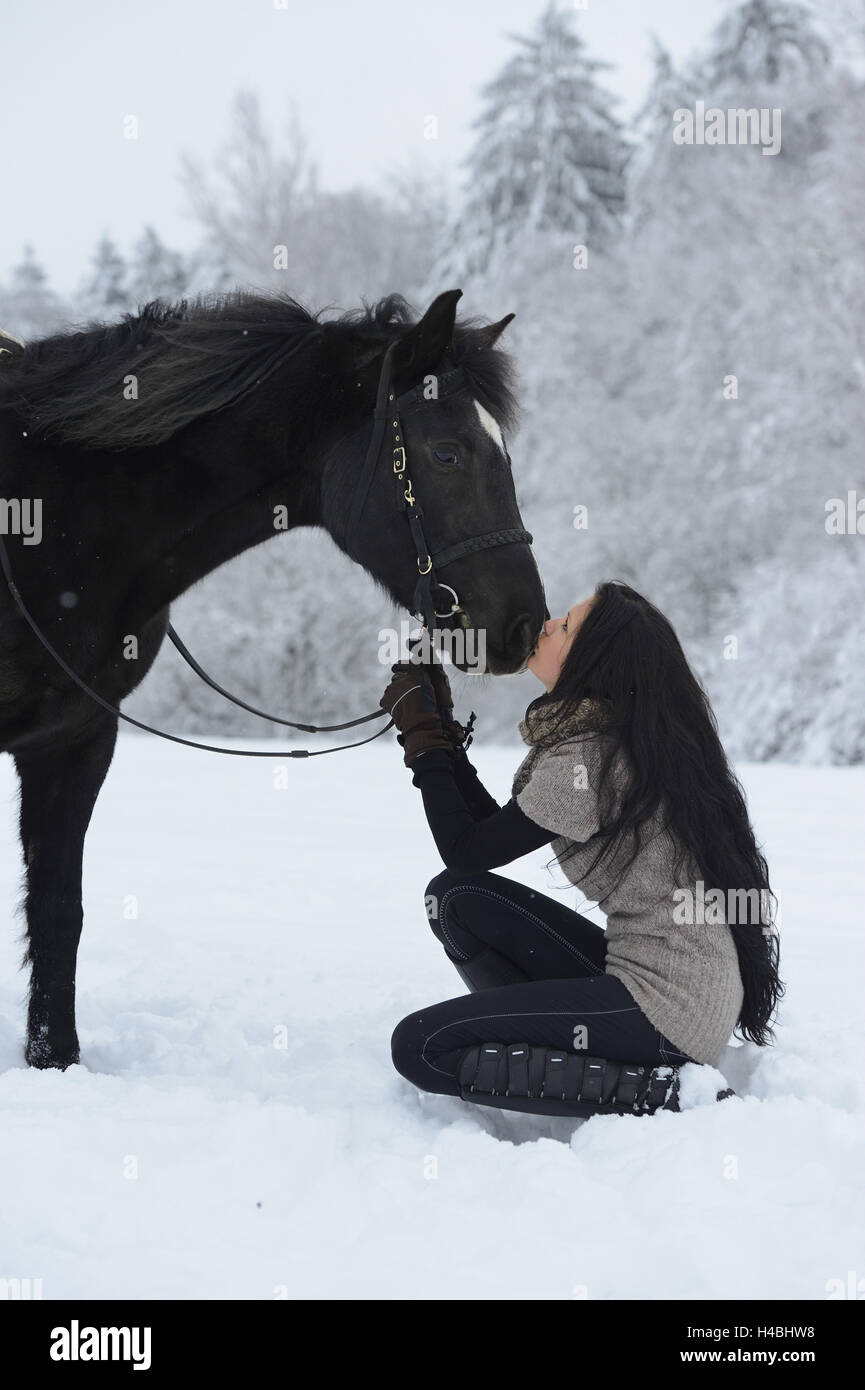 Teenage girl, horse, Arabo-Haflinger, kiss, at the side, Stock Photo