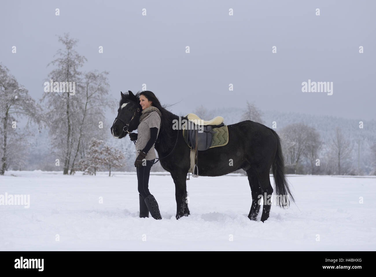 Teenage girl, horse, Arabo-Haflinger, lead, at the side, Stock Photo