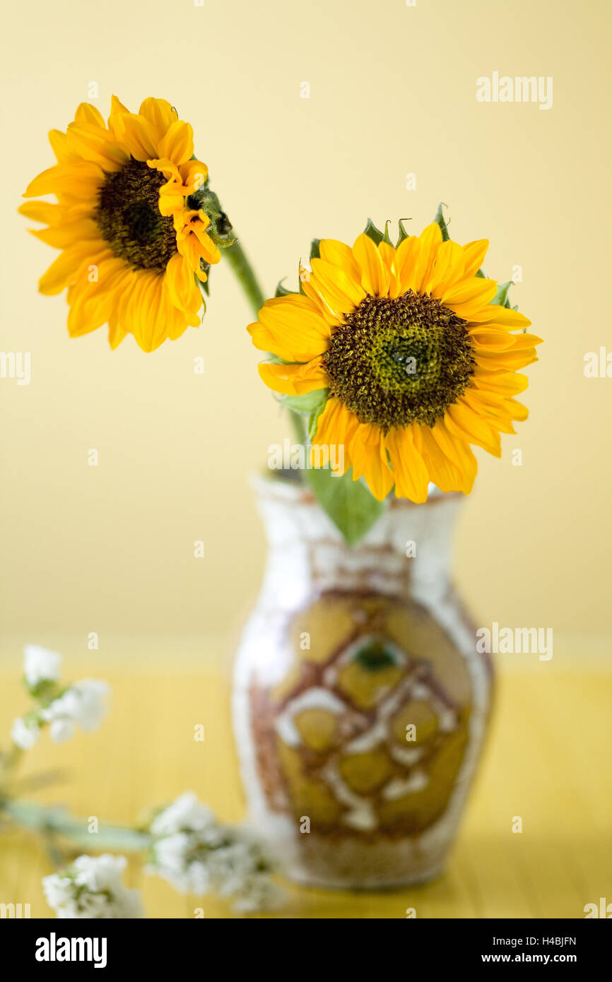 Sunflowers in vase, Stock Photo